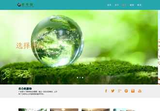 响应式服务性通用公司网站织梦模板(自适应设备