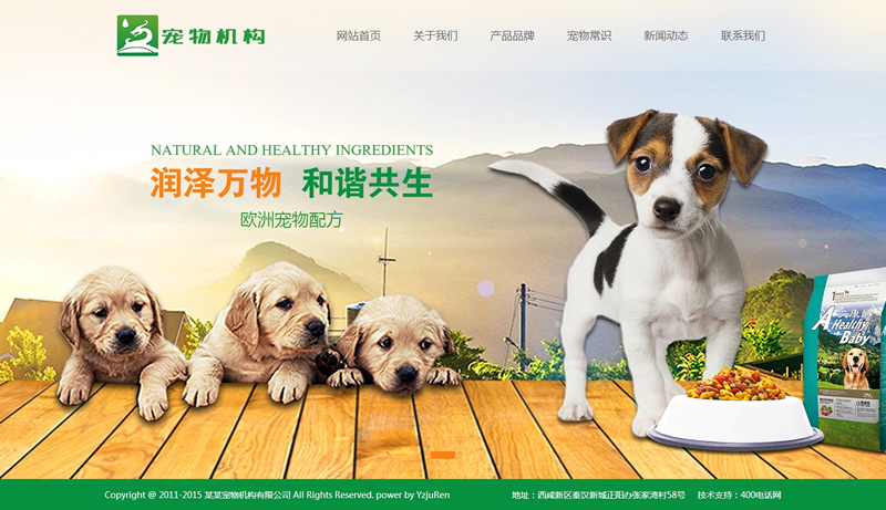 宠物动物机构类网站织梦模板(带手机端)