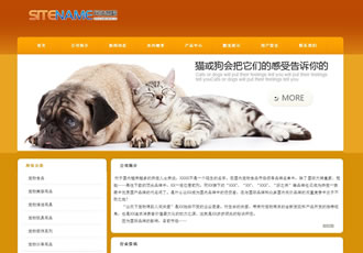 户外宠物用品各种宠物建站平台-建站之星模板