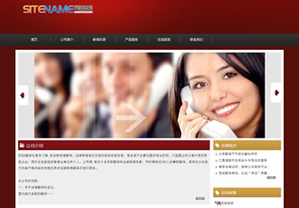 国际语言翻释公司法律咨询服务建站模板