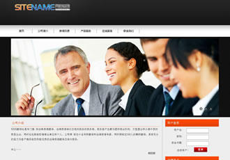 财务会计咨询法律相关服务建站模板-建站之星模板