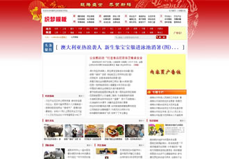 新闻门户资讯文章类织梦模板-DeDecms(织梦)模板